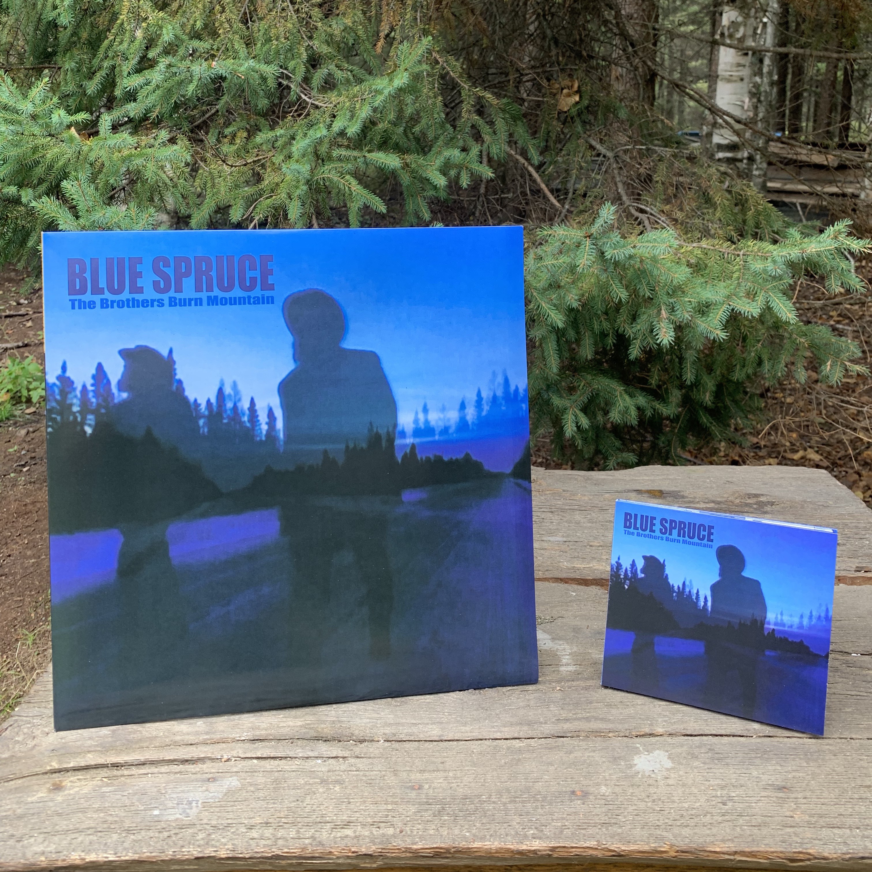 Album Image Blue Spruce